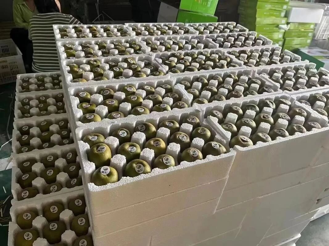 1758589413084.jpg