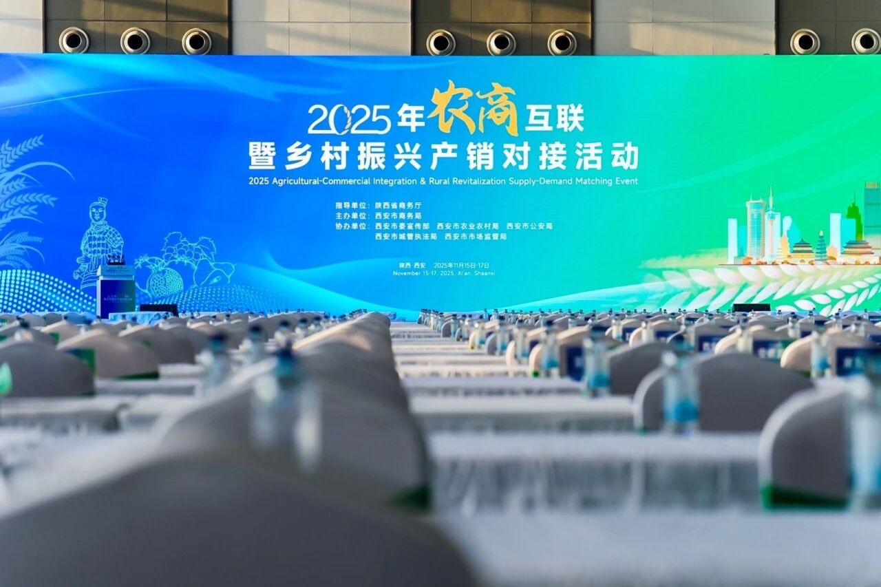 1763521249986.jpg 1763521249986.jpg