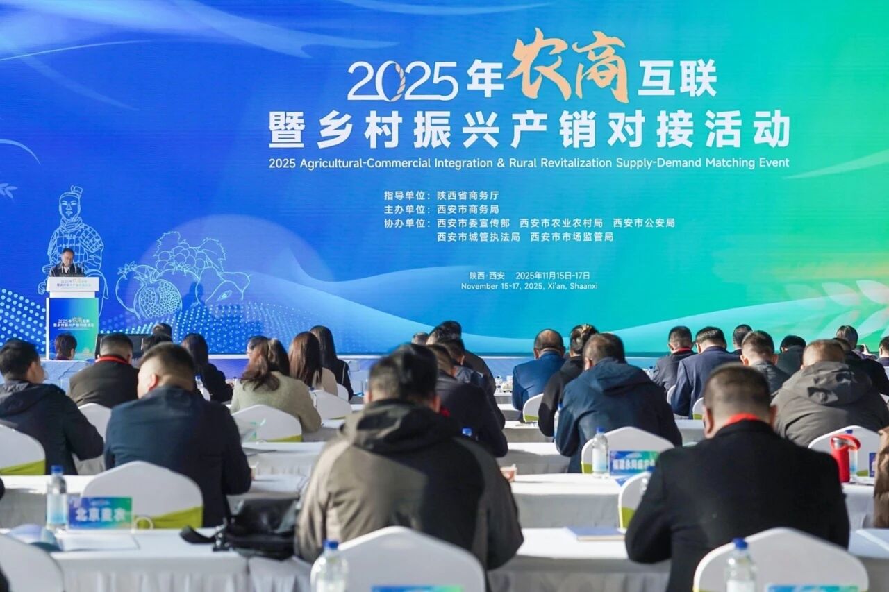 1763521264284.jpg 1763521264284.jpg