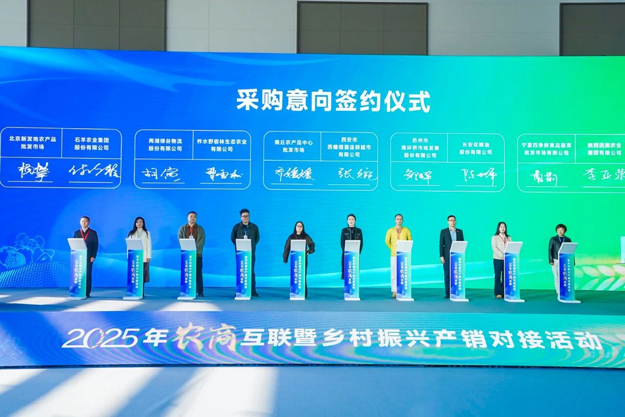 1763521276838.jpg 1763521276838.jpg