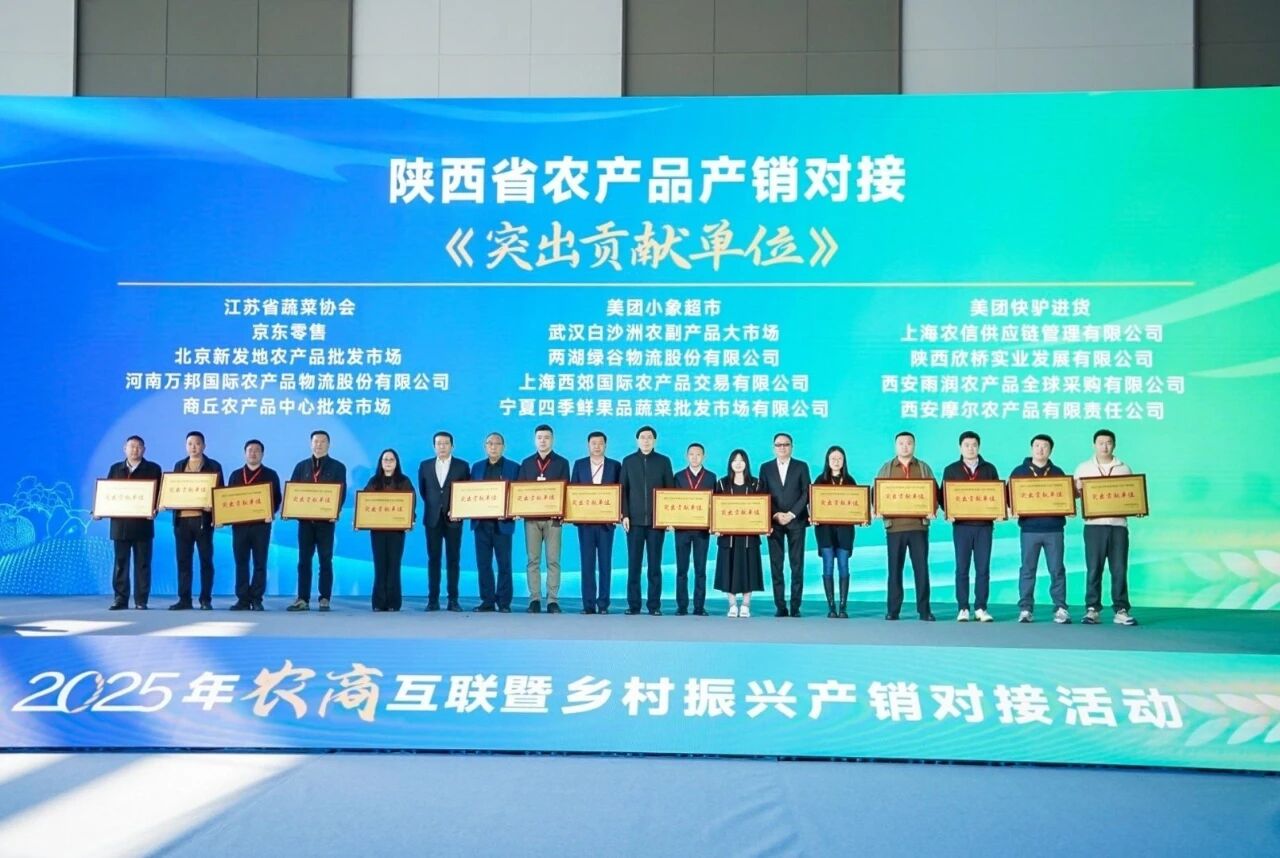 1763521296222.jpg 1763521296222.jpg