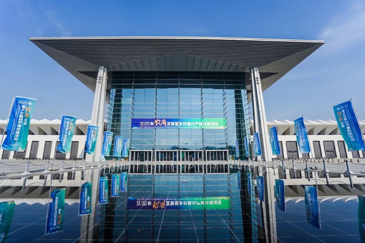 1763521393708.jpg 1763521393708.jpg