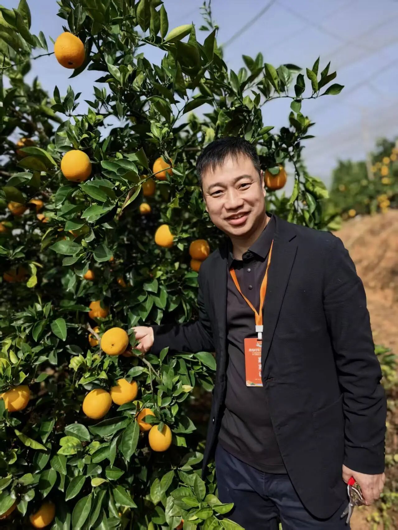 1764660202962.jpg 1764660202962.jpg