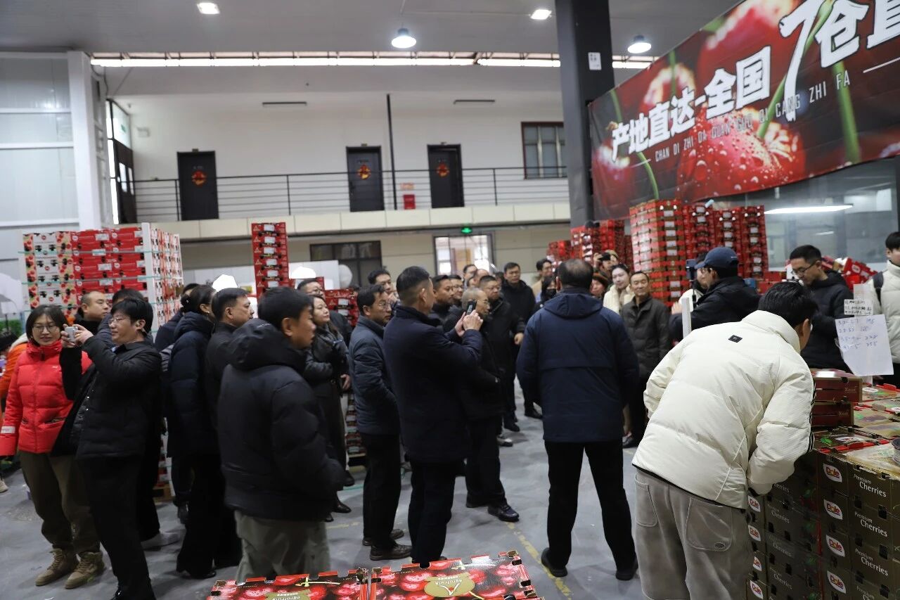 1768869229199.jpg 1768869229199.jpg