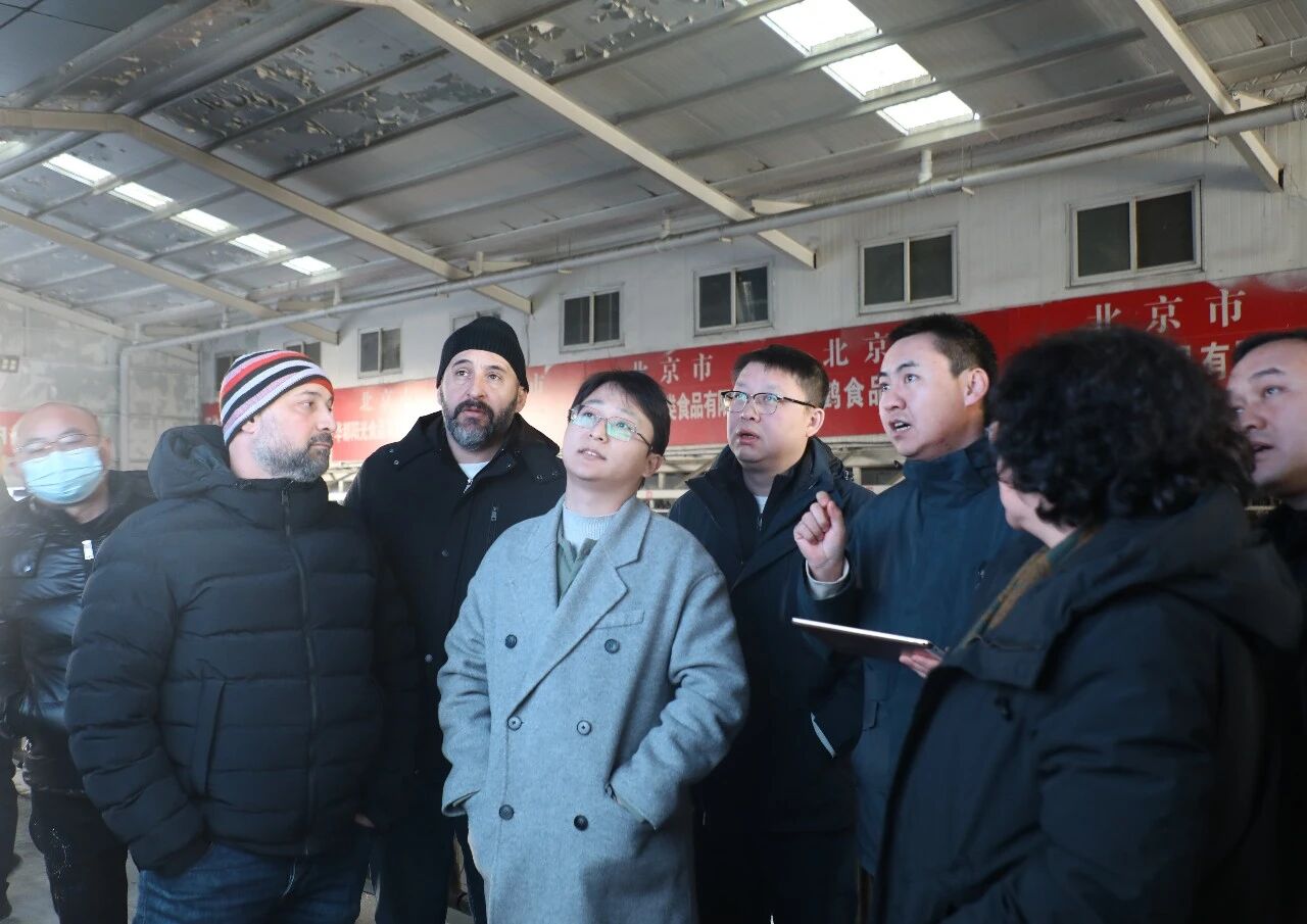 1769560123528.jpg 1769560123528.jpg